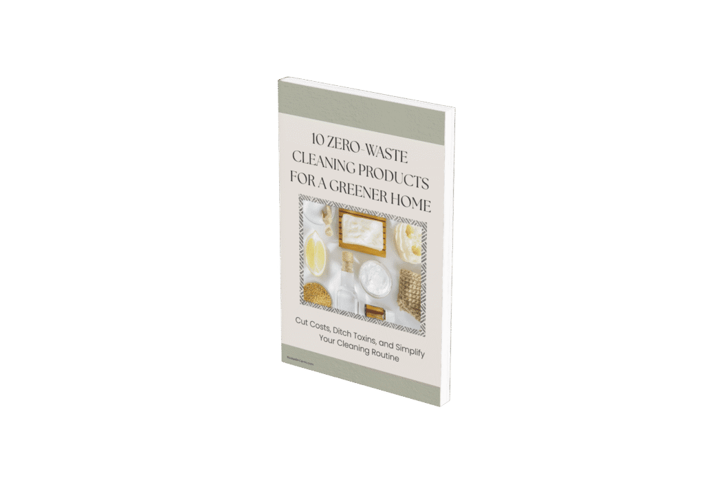 a 3d book mockup of 10 zero -waste products
