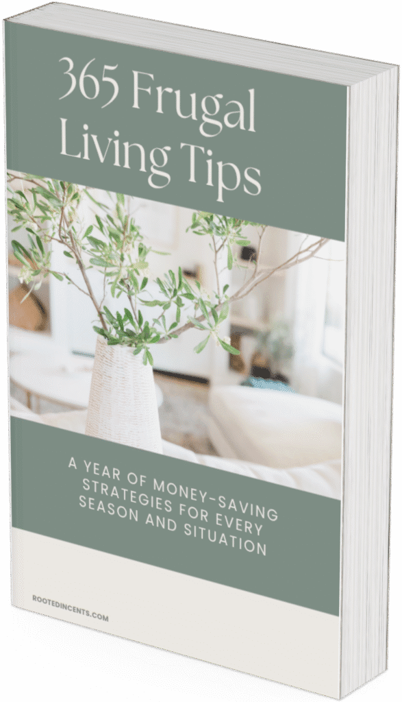 3D mockup of the PDF 365 frugal living tips