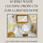 a 3d book mockup of the pdf 10 zero-waste products