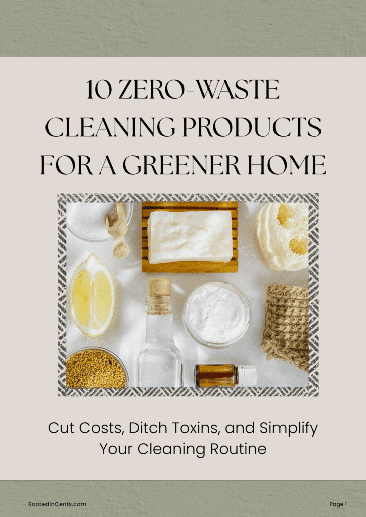 a 3d book mockup of the pdf 10 zero-waste products