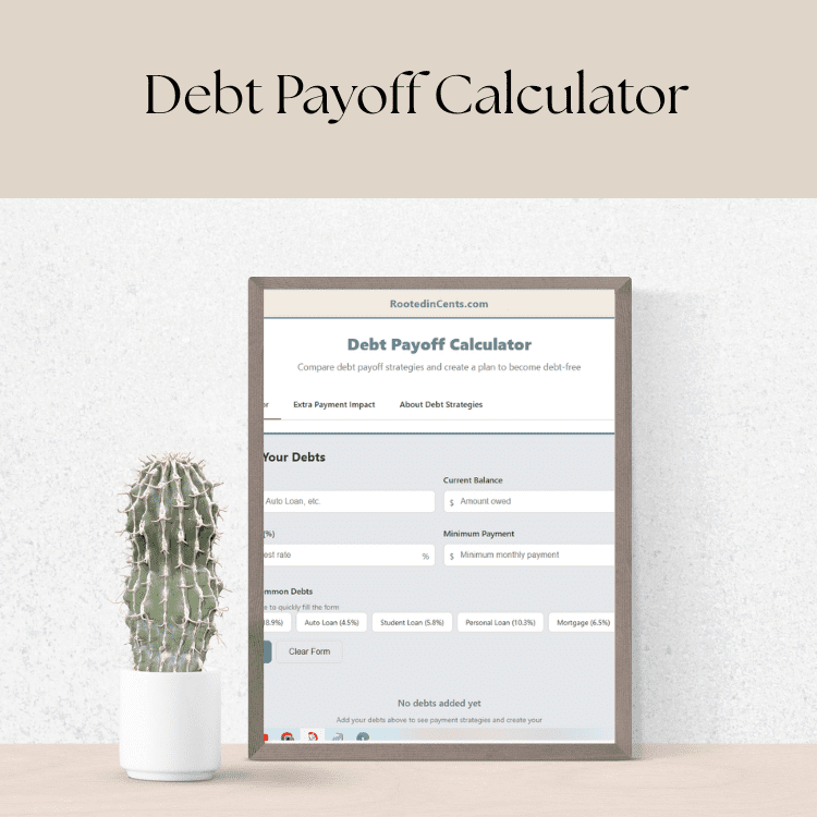 A screenshot of the debt payoff calculator